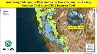 Analysing Fish Species Distribution on Forest Land with Intersect Tool in ArcGIS | Intersect Tool