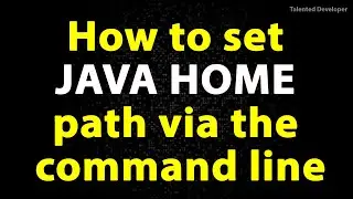 How to set JAVA HOME path via the command line