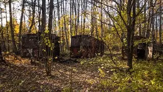 ОХОТНИКИ ОБХОДЯТ ЭТО МЕСТО СТОРОНОЙ! ПОЙМАЛ ДВУХ СВИНЕЙ НА УЧАСТКЕ! ПРОТИВОВЕС ТРАКТОРА! Коп металла