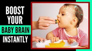 Baby Brain Foods to Boost Your Baby’s Brain and Memory