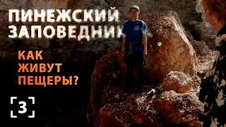 Есть ли жизнь на карсте?! 140 пещер Пинежского заповедника.