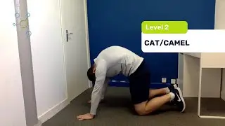 Lower Back level 2 exercises (Cat/Camel)