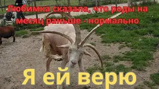 Отпуска мобилизованным