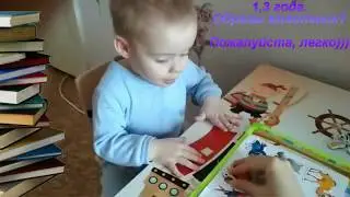 Раннее развитие  Наглядно образное мышление