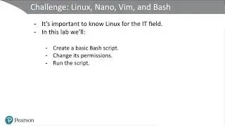 Using Nano & Vim in Linux, plus basic Bash scripting