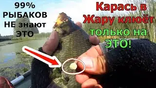 Рыболовная Насадка клюёт ДЕД КАРАСЬ. СУПЕР РЫБОЛОВНАЯ НАСАДКА НА КАРАСЯ В ЖАРУ Что любит карасьвиюле