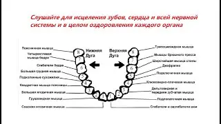 Для исцеление и поддержание здоровья зубов