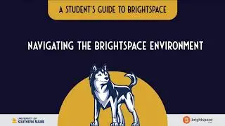 Navigating the Brightspace Environment