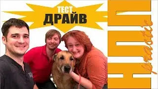 Танино НЛП: тест-драйв курса Татьяны Мужицкой и Александра Родионова. 1 часть