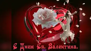 С днём всех влюблённых! Друзья , учитесь верности у лебедей!