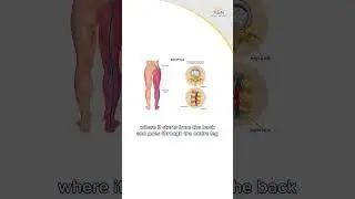 #StepUp - Know What Does Sciatica Actually Mean? | Dr Karunakaran | Expert Talk | MGM Healthcare