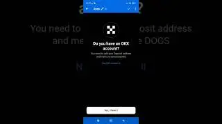 DOGS как вывести монеты на кошелёк и биржу