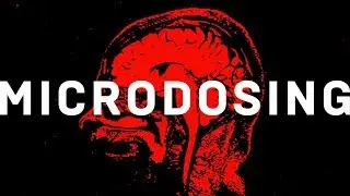 Does microdosing LSD make you smarter? | WIRED Explains