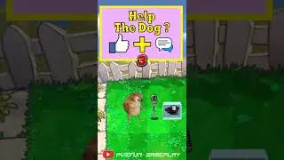 Would you like the poor dog to get the hat | Plants vs Zombies 2024 🤣🤣🤣 #shorts #pvz #dog