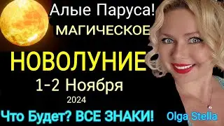 АЛЫЕ ПАРУСА🔴НОВОЛУНИЕ 1- 2 НОЯБРЯ 2024 Что ДЕЛАТЬ? Растущая Луна с 1 - 15.11.2024 от OLGA STELLA