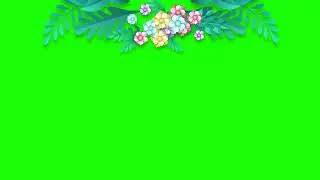 Flores Green Screen  Chroma Key