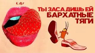 БАРХАТНЫЕ ТЯГИ & ТЫ ЗАСАДИШЬ ЕЙ MASHUP