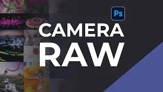 How to use Adobe Camera RAW for Beginners