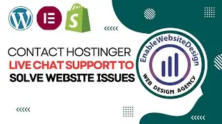 How to contact hostinger live chat support to solve website issues