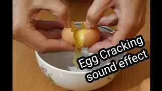 satisfying egg cracking sound effect for video