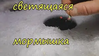 Светящаяся мормышка для зимней рыбалки своими руками