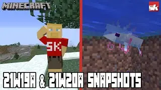 Minecraft Java Edition 21w19a & 21w20a Snapshots Update