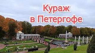 кураж в Петергофе / Петергоф осенью / рынок у Петергофа / экскурсия по Петергофу