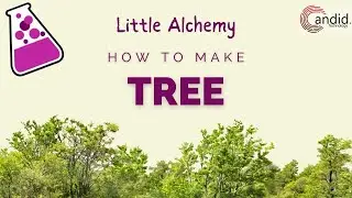 How to make Tree in Little Alchemy? | Candid.Technology