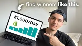 how i took a new dropshipping store to $1000/day.