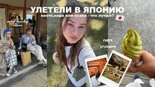 Япония влог | Киото, Осака и парк оленят 🇯🇵