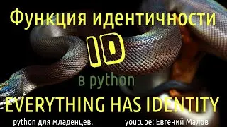 Функция идентичности id в python