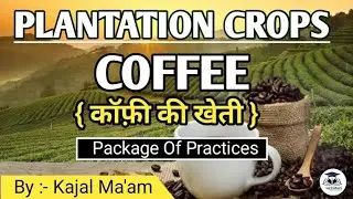 Plantation Crop - Coffee || Horticulture || By :- Kajal Ma'am