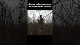 #Shorts ПУШКА в БОЛОТЕ!? Рассказ подписчика о ПУШКЕ! В поисках сокровищ / In search of treasures