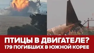 🔴 СРОЧНО Авиакатастрофа в Южной Корее: 179 погибших 