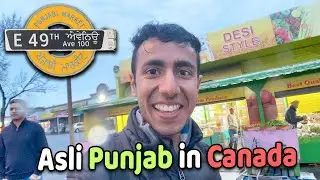 Real Punjab of Canada: Gol Gappe, Amritsari Fish in Surrey!