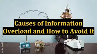 Causes of Information Overload and How to Avoid It