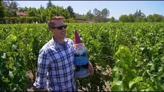 Ride on the Napa Valley Wine Train with HLN's Bob Van Dillen and the Roaming Gnome