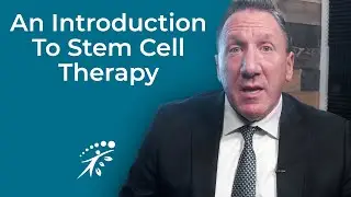 An Introduction To Stem Cell Therapy And Regenerative Medicine