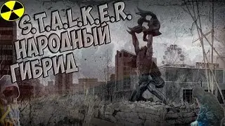 S.T.A.L.K.E.R. Народный Гибрид (2015) №6-ТОЗ для Петрухи