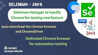 Selenium Manager new feature | Chrome for testing browser | auto download browser & driver