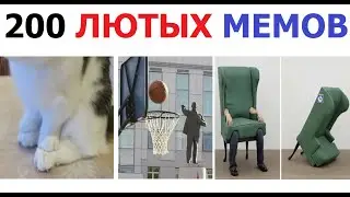 200 лютых МЕМОВ. Ленин, котик и стул