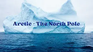 Arctic | North Pole of the Earth | Arctic Ocean | Polar regions | Polar Animals