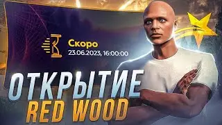 СЛОВИЛ МИРРОР ПАРК НА ОТКРЫТИЕ НОВОГО СЕРВЕРА GTA 5 RP REDWOOD!