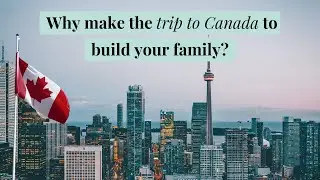 Why make the trip to Toronto, Canada to build your family?