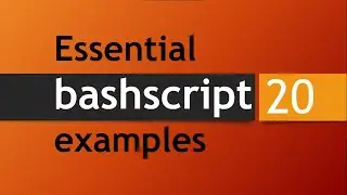 20 essential Bash script examples