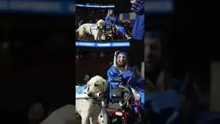 Service dog receives diploma alongside owner | Humankind #Shorts