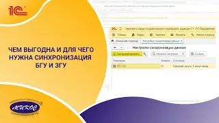 Чем выгодна и для чего нужна синхронизация БГУ и ЗГУ?