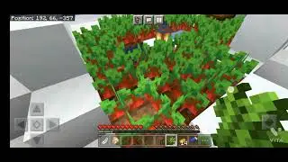 survival world part 1