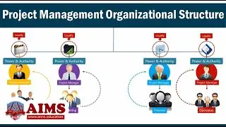 Project Management Organizational Structure & Types: Functional, Matrix & Projectized - AIMS UK