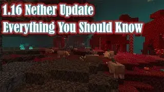 Everything you should know about the 1.16 Nether Update!